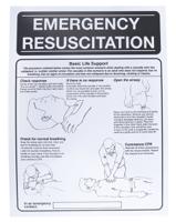 559-568 First Aid Safety Wall Chart, Plastic, English, 400 mm, 300mm
