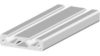 264-7874 RS PRO Silver Aluminium, Anodized Profile Strut, 40 x 10 mm, 5mm Groove, 1m Length