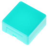 aml51-c10g Indicator Lens Square Style, Green, 20.5mm Long