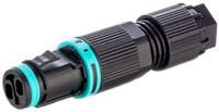136-9898 RS PRO Tee Socket, 2-Pole, Female, 1-Way, Cable Mount, 10A, IP68