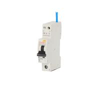ccpbr1020ab Contactum RCBO, 20A Current Rating, 1P Poles, 30mA Trip Sensitivity, Type B, CCPBR Range