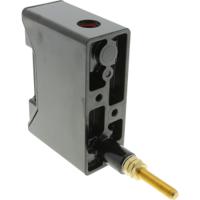 rs100ph Eaton 100A Rail Mount Fuse Holder for A4 Fuse, 1P, 690V ac