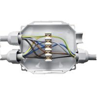 readybox Raytech ReadyBox Grey Potting Compound