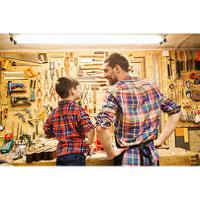 29278 Sylvania ToLEDo Superia 3600 lm 23 W LED Tube Light, T8, 5ft