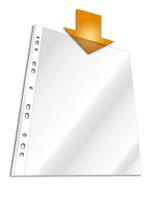 2662-19 Durable Transparent A4 Punched Pocket