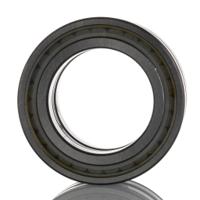 nnf-5010-adb-2lsv SKF NNF 5010 ADB-2LSV 50 mm ID Roller Bearing, 80 mm OD