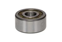 4200-atn9 SKF 4200 ATN9 2 Row Ball Bearing - 10 mm ID, 30 mm OD