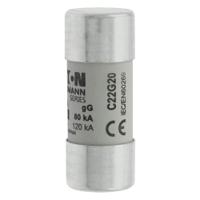 c22g20 Eaton 20A Ceramic Cartridge Fuse, 22 x 58mm