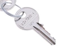 2532012 Rittal 2-way Spannerlock Key