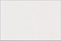 y163291 Brady White Adhesive Multipurpose Label Sheet, Pack of 360