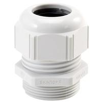 53018020 Lapp SKINTOP Series Grey Polyamide Cable Gland, PG11 Thread, 4mm min., 10mm max., IP68