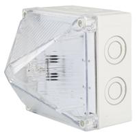 x700-22-05 Moflash X700 Synchronous Series Clear Flashing Beacon, 230 V ac, Surface Mount, Wall Mount, Xenon Bulb, IP66, IP67