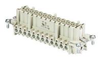 7030024400 Wieland Female insert, 24 Way, 16A, Female, BAS BUS, Panel Mount, 500 V