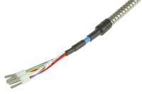 d05981 Correge PT100 RTD Sensor, 6mm Dia, 300mm Long, 2 x 3 Wire, Probe, Classe B +250°C Max