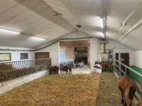 4058075452176 LEDVANCE 50 W LED Batten Light, 240 V LED Lamp, 1 Lamp, 1.644 m Long, IP67/IP69K