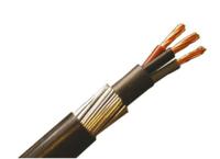 196-4690 RS PRO 10 mm² 3 Core Power Cable, Black PVC, 50m
