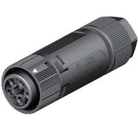 4605145531 Wieland RST Mini Series Mini Connector, 5-Pole, Female, 1-Way, Cable Mount, 16A, IP66, IP68, IP69