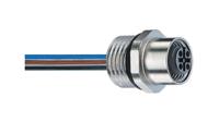 26132 Lumberg Automation Female 5 way Receptacle to Sensor Actuator Cable, 500 mm