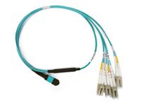 885366505 Molex MPO to LC x 4 Multi Mode Fibre Optic Cable, 50/125μm, 5m
