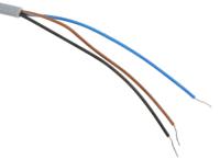 nbb06-3m22-e0 Pepperl + Fuchs Inductive Threaded Barrel Proximity Sensor, 0.6 mm Detection, NPN NO, 10 → 30 V dc