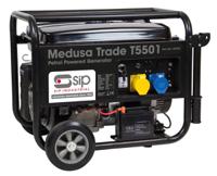 25137 SIP 5000W Generator, 12 V dc, 230V ac Output, 83kg