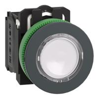 xb5fw31m5 Schneider Electric Harmony Series Illuminated Push Button, Panel Mount, 30mm Cutout, SPDT