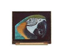 mdog160128b1y-rgbm Midas 2.3 Blue, Green, Red Passive matrix OLED Display 160 x 128 COG I2C, Parallel, SPI Interface