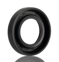 17x30x7-hms5-rg SKF Nitrile Rubber Seal, 17mm ID, 30mm OD, 7mm