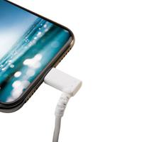 rusbltmm1mwr StarTech.com USB 2.0, Male USB A to Male Lightning, 480Mbps, 1m