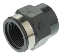 721911007 Georg Fischer Plastic Pipe Fitting, Straight Threaded Socket, Rp 3/4in to Cement 3/4in