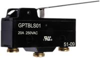gptbls01 ZF Long Hinge Lever Micro Switch, Screw Terminal, 20 A @ 250 V ac, SPDT