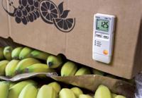 0572-1843 Testo 184-T3 Temperature Data Logger, USB, 1 Input Channel(s)