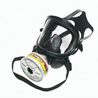 1710394 Honeywell Safety Panoramasque RD40 Series Full-Type Respirator Mask, Size Classic