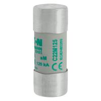 c22m125 Eaton 125A Ceramic Cartridge Fuse, 22 x 58mm