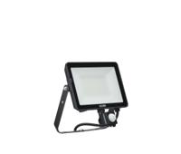 911401855185 Ecolink BVP009, Security LED Floodlight, 1 LED, 50 W, 4250 lm, IP65 PIR