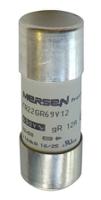 f1018629-fr22gr69v100t Mersen 100A FF Cartridge Fuse, 22 x 58mm