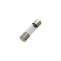 r090543q Mersen 1A Time Lag Glass Cartridge Fuse, 5 x 20mm