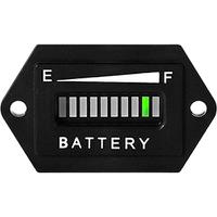 rl-bi001 Runleader RL Series Series Digital Voltmeter DC, LED Display