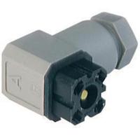 932157106 Hirschmann, G Series 4 Pole Angled Din, DIN EN 61984, 6A, 50 V ac/dc IP65, Female, Screw