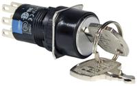 as6m-21kt2pb Idec IP40, IP65 Key Switch, DPDT, 1 A 2-Way Common-Key