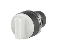 46-2w0s1cn0004 EAO Rotary Switch for Use with Momentary Action Actuator
