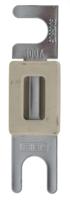9005805100 SIBA 100A White Automotive Car Fuse, 80V dc