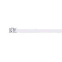 ms6w63t15-l4 Panduit Cable Tie Assemblies, Strapping, 620mm x 15.9 mm, Natural 304 Stainless Steel, Pk-50