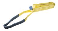 729-3026 RS PRO 5m Yellow Lifting Sling Webbing, 3t