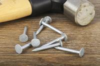 170-1646 RS PRO Galvanised Nails; 30mm x 3mm; 500g Bag