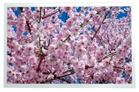 254-0015 RS PRO TFT TFT LCD Display / Touch Screen, 12.1in XGA, 1280 x 800pixels