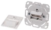 422-6060 RS PRO Cat5e 2 Way RJ45 Face Plate