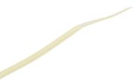 811-1628 RS PRO Cable Tie, Heat Stabilised, 100mm x 2.5 mm, Natural Nylon, Pk-100