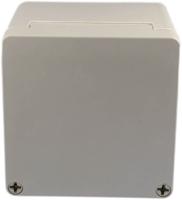 0212020000 Rose Mini-Polyglas Series Glass Fibre Reinforced Polyester Wall Box, IP66, 200 mm x 200 mm x 170mm
