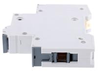 5sy6132-7 Sentron 5SY6 MCB Mini Circuit Breaker 1P, 32 A, 6 kA, Curve C